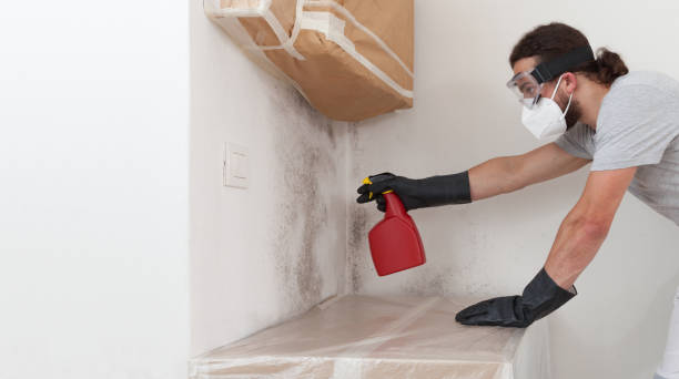 Professional Attic Mold Remediation technician working in Moon, VA