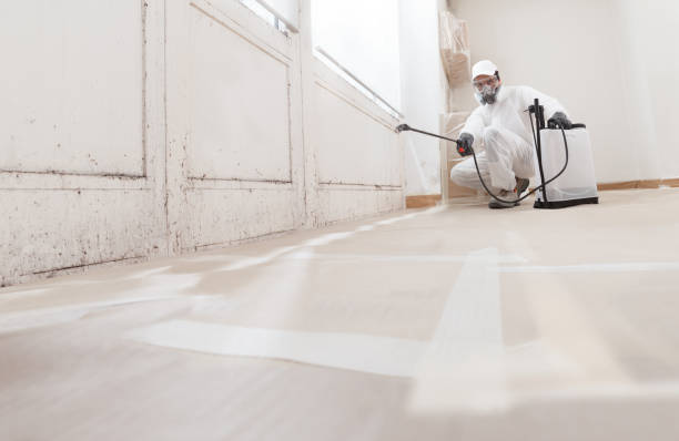 24/7 Emergency Attic Mold Remediation experts in Moon, VA