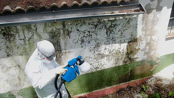 Top rated local Attic Mold Remediation specialists in Moon, VA